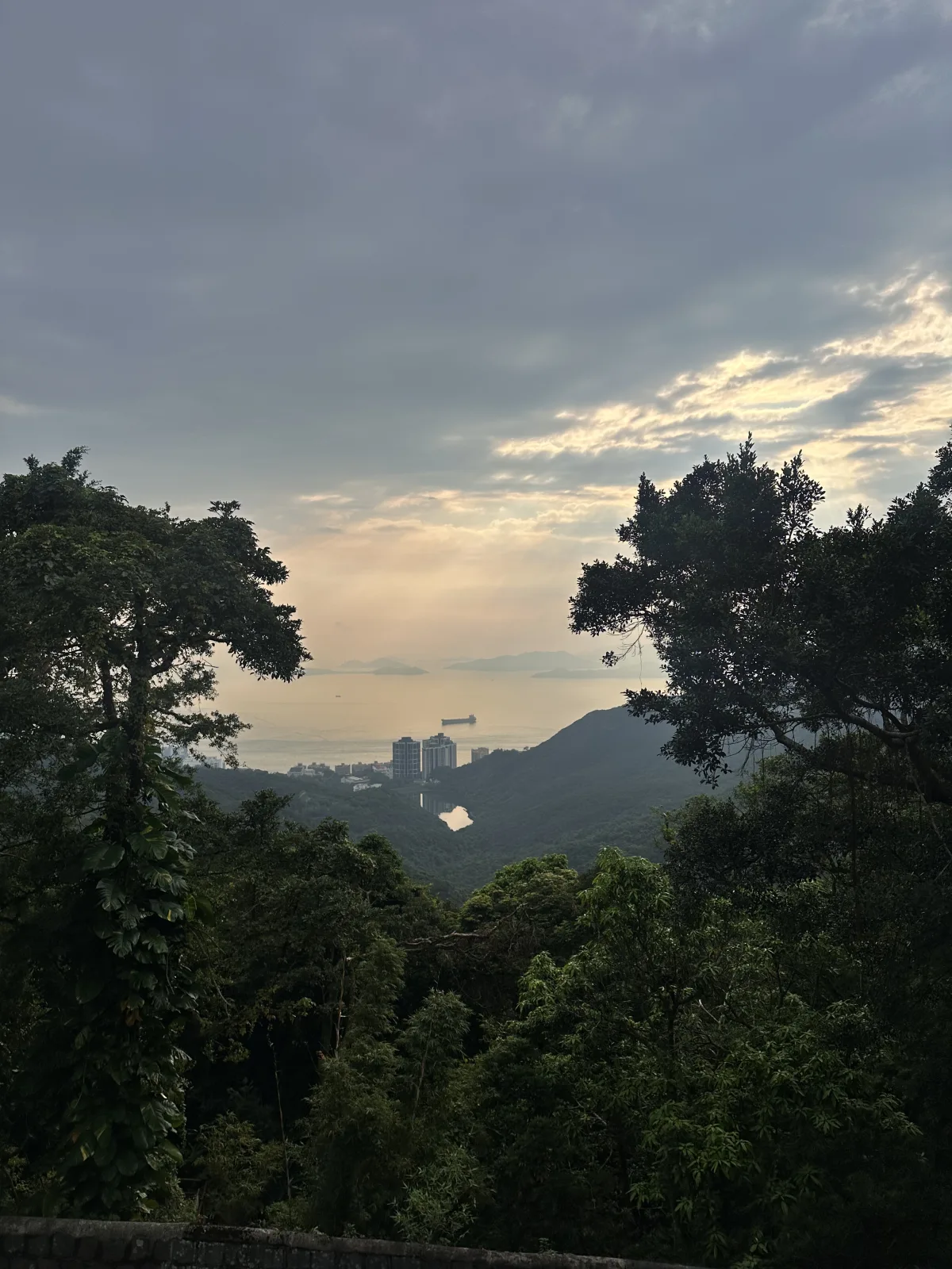 Blick ins Grüne auf dem Victoria Peak Blick in die grüne Umgebung auf dem Victoria Peak in Hongkong